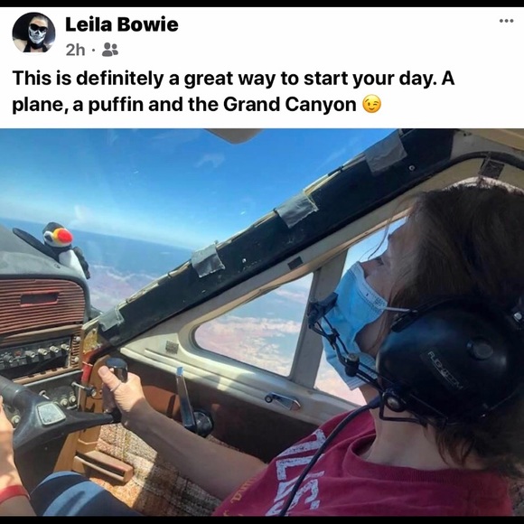 Meet your Posher, Leila - Picture 5 of 11